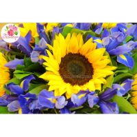 Букет из 15 подсолнухов и ирисов