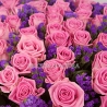 101 розовая роза «Аква» + статица