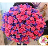 101 розовая роза + ирисы