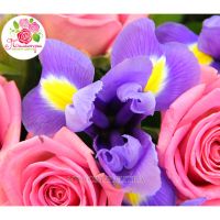 101 розовая роза + ирисы