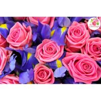 101 розовая роза + ирисы