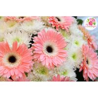 Букет из гербер и хризантем