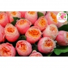 75 пионовидных роз «Вувузела»
