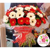 Букет из 59 гербер и гиперрикума