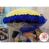 Сердце из 201 розы: синие + белые