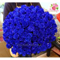 101 синяя роза