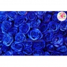 101 роза: синяя + розовая
