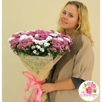 51 хризантема: белая + розовая