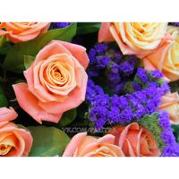 51 персиковая роза + статица