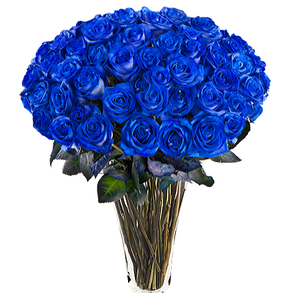 59  синих роз  