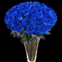 59  синих роз  