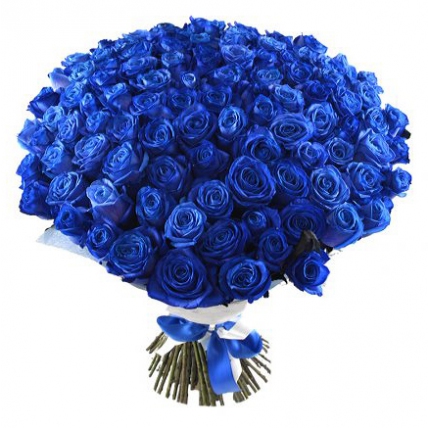 101  синяя роза