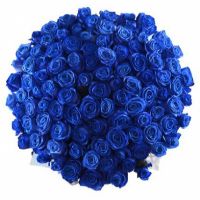 101  синяя роза