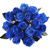 19 синих роз