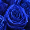 Букет из 39 роз: синие и желтые