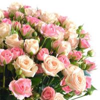 «Сама нежность»