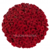 101 красная роза «Ред Наоми»