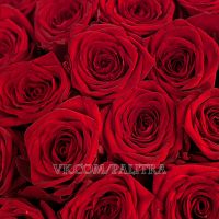 101 красная роза «Ред Наоми»