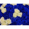 101 роза: синие + белые