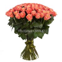 101 персиковая роза «Мисс Пигги»