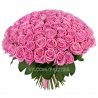 101 розовая роза «Аква»