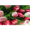 101 тюльпан: розовый + нежно - розовый