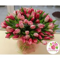 101 тюльпан: розовый + нежно - розовый