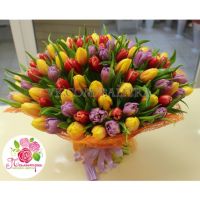 101 тюльпан МИКС в натуральной упаковке