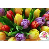 101 тюльпан МИКС в натуральной упаковке