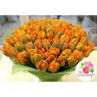 101 тюльпан оранжевый в натур. упаковке