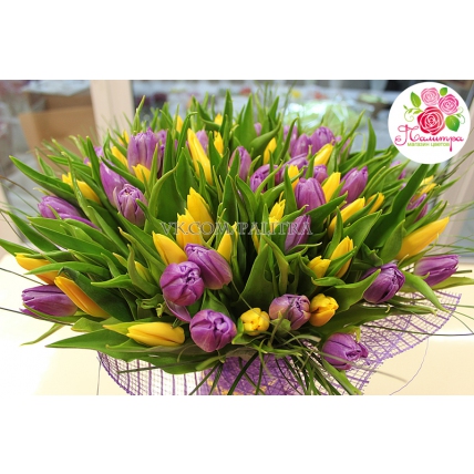 101 тюльпан: фиолетовые + желтый