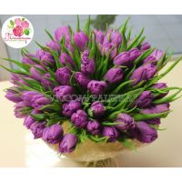 51 тюльпан сиреневый в упаковке 