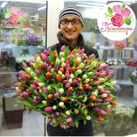 201 тюльпан микс