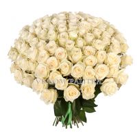 101 роза белая