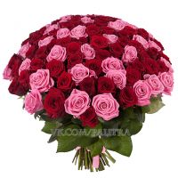 101 роза красно - розовая