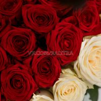 101 роза в форме сердца