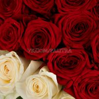 101 роза в форме сердца