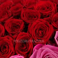 Букет в форме сердца из 101 розы