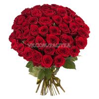 51 красная роза