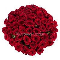 51 красная роза