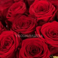 51 красная роза