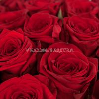 51 красная роза