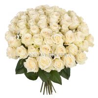 51 белая роза 