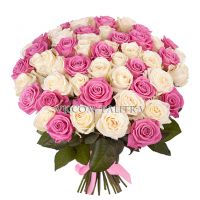 51 роза бело-розовая 