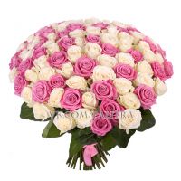 101 роза: розовая + белая