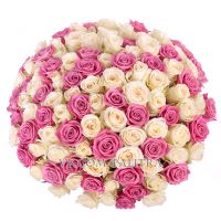 101 роза: розовая + белая
