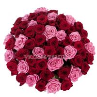 51 роза красно-розовая