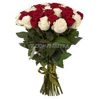 51 роза красно-белая