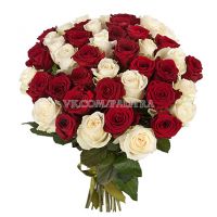 51 роза красно-белая