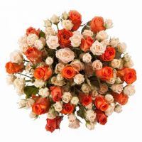 «Нежность и пламя»